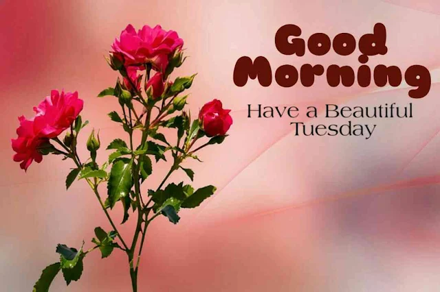 Good Morning Tuesday,Good morning tuesday blessings, have a nice tuesday, have a beautiful tuesday
