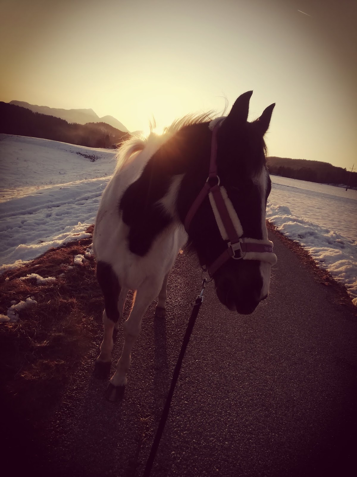 Geschenkideen Jpg 960 720