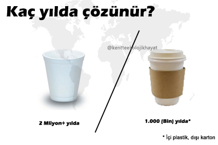 dolarne olur vercel app