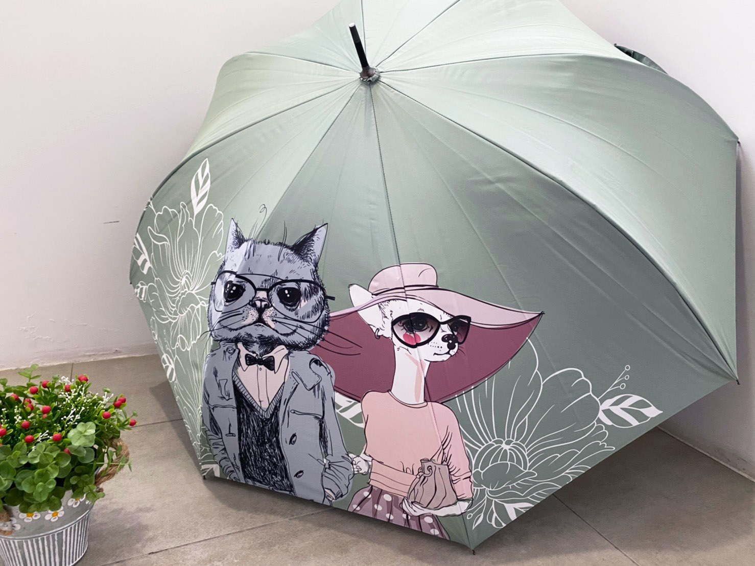 Duke umbrella Clearance