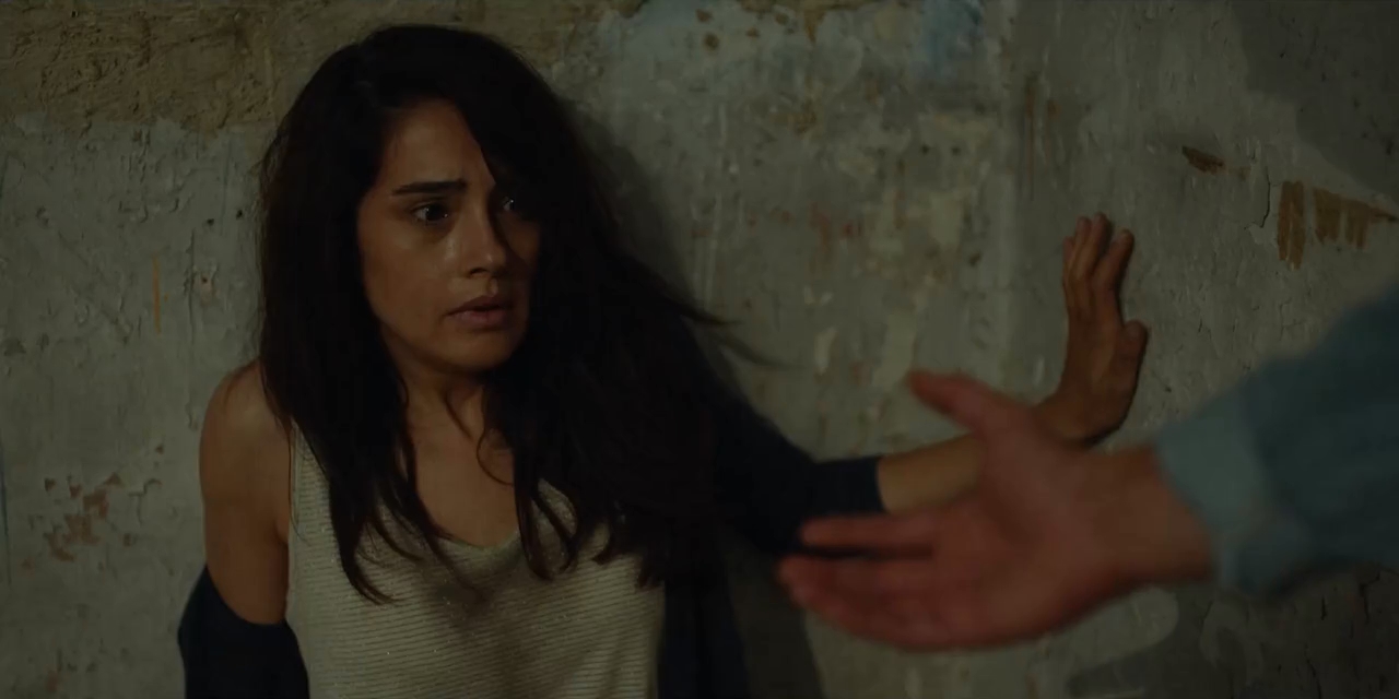 The Protector Saison 3 The Protector Season 3 All Episodes In {Hindi+English} Dual Audio