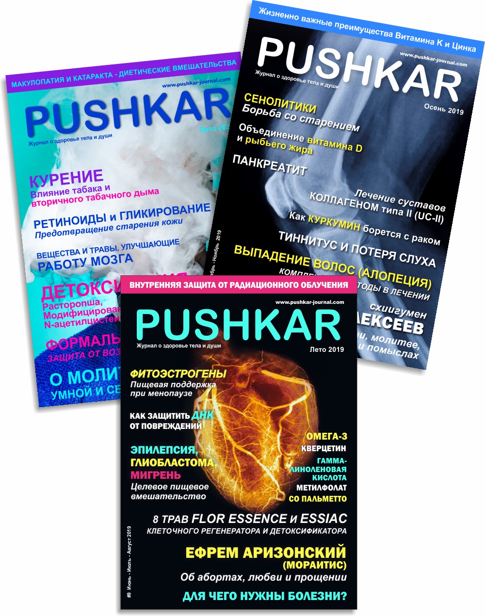 PUSHKAR - Журнал и сайт о здоровье тела и души! PUSHKAR - Журнал и сайт о здоровье тела и души!