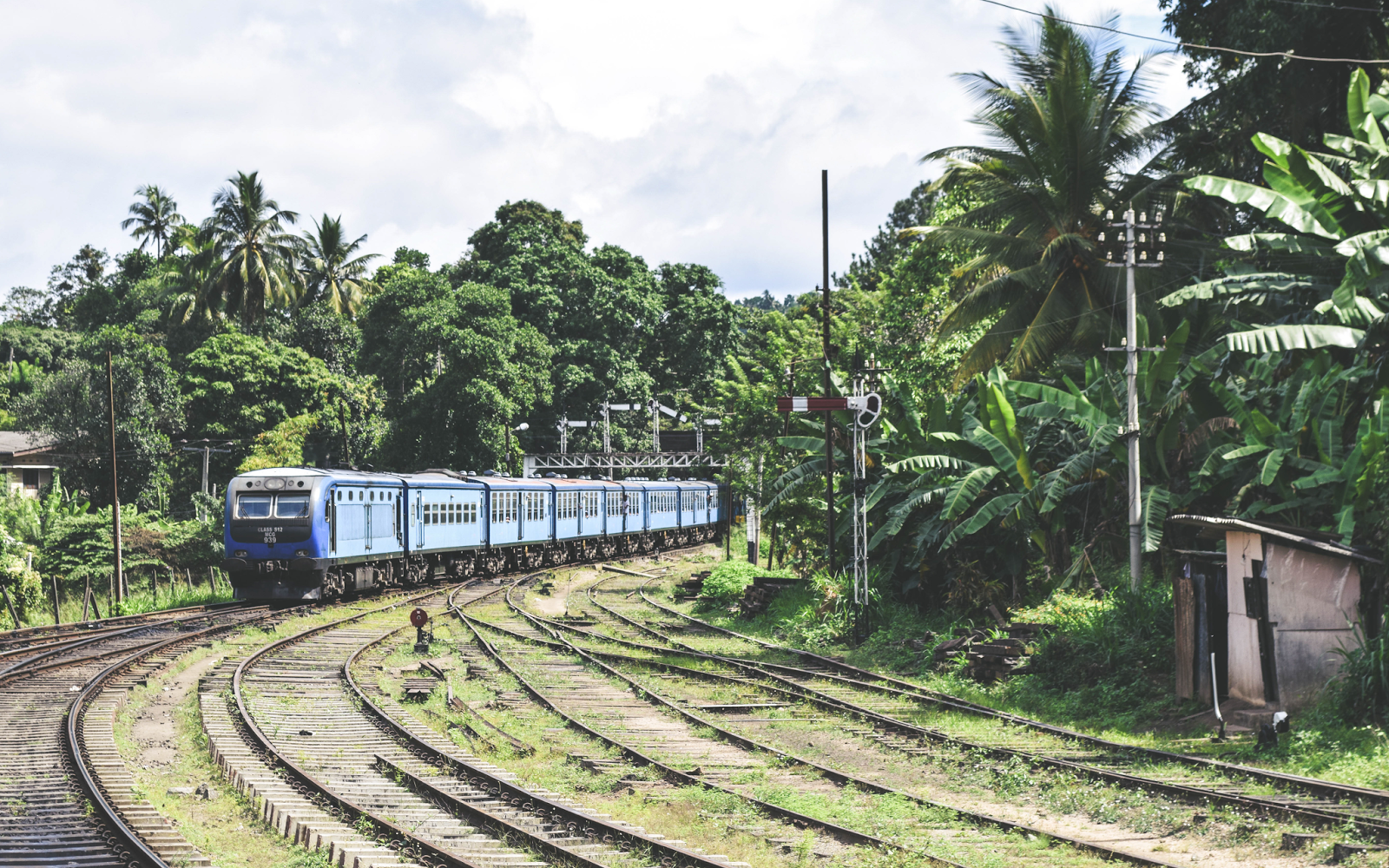 Sri Lanka Train Journey Kandy to Nuwara Eliya