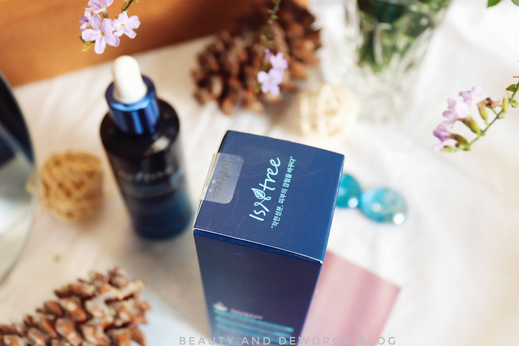 [Review] Isntree Hyaluronic Acid Water Essence Beauty & Dewdrop Blog