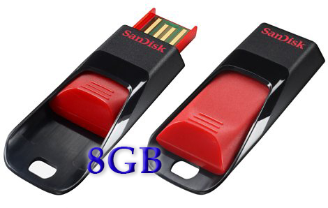 Flashdisk Sandisk  USB 2 0 Kapasitas 8GB B A S 