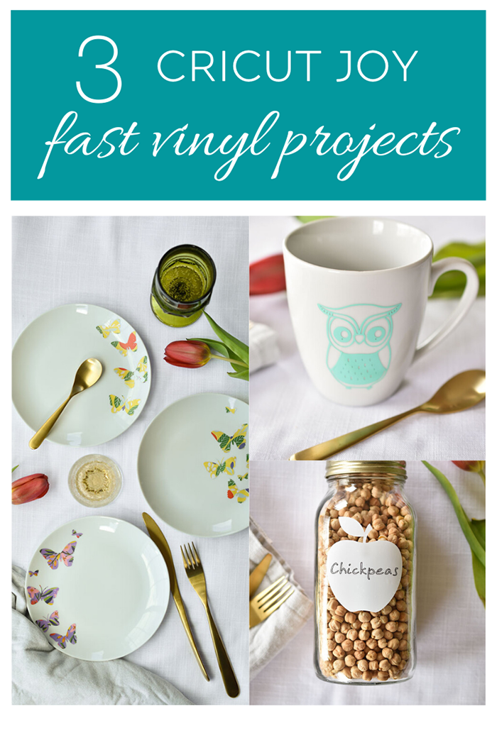 Woman in Real Life 3 Fast and Easy Vinyl Projects To Make With Cricut Joy
