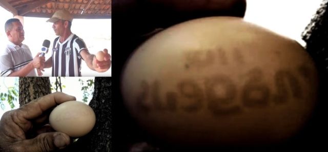 Mystery as chicken lays egg with numbers and symbols depicted on shell  Mystery-eggshell-numbers-symbols%252Cbrazil%2B%25281%2529