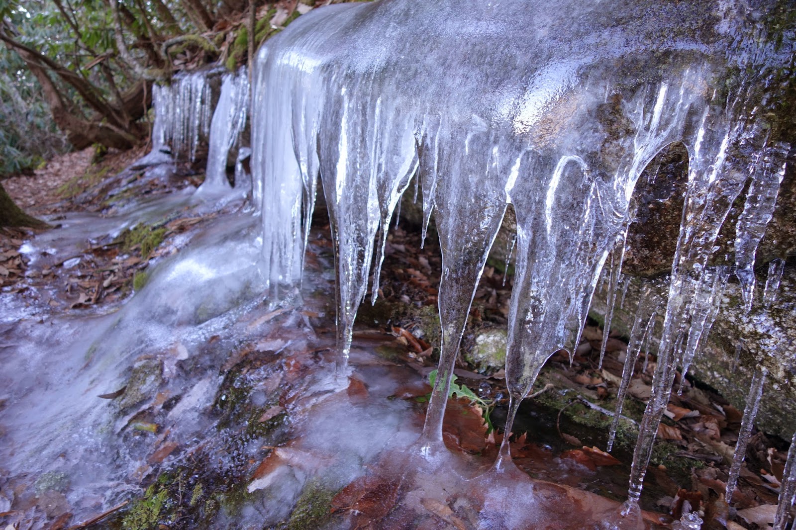 Ice on trail