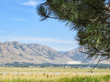 Tremontain, Utah