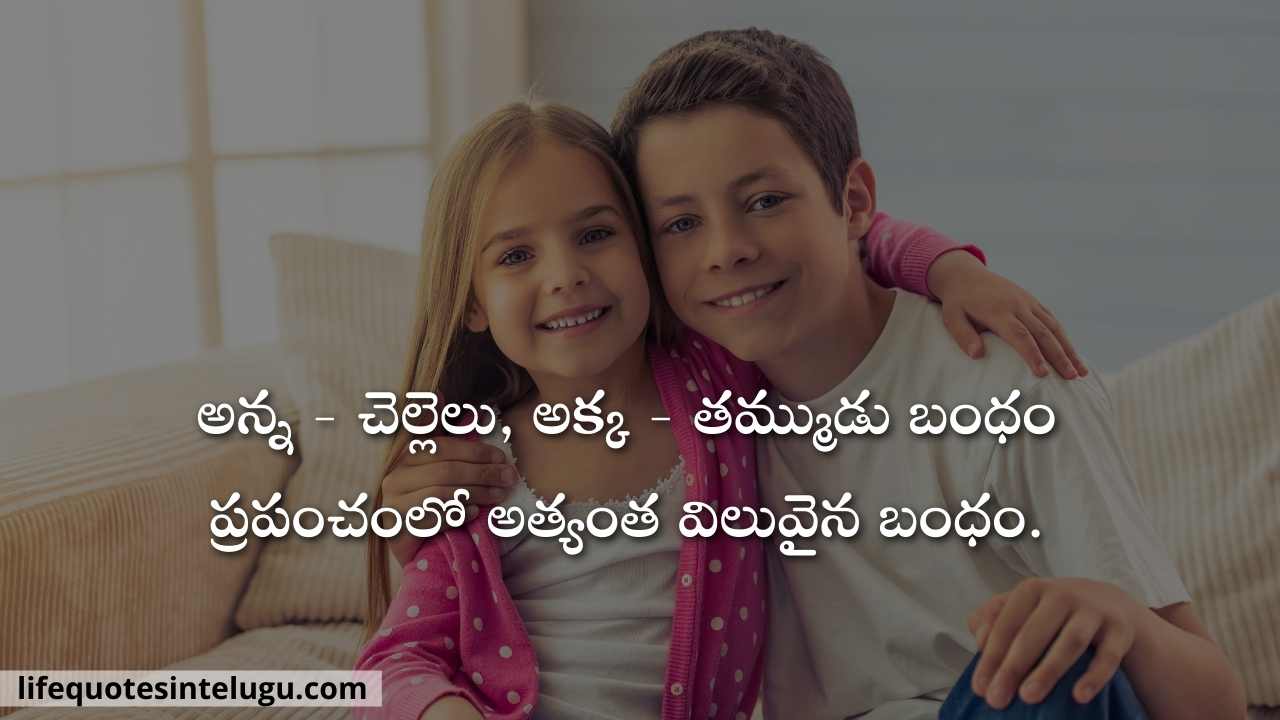 Brother Quotes In Telugu