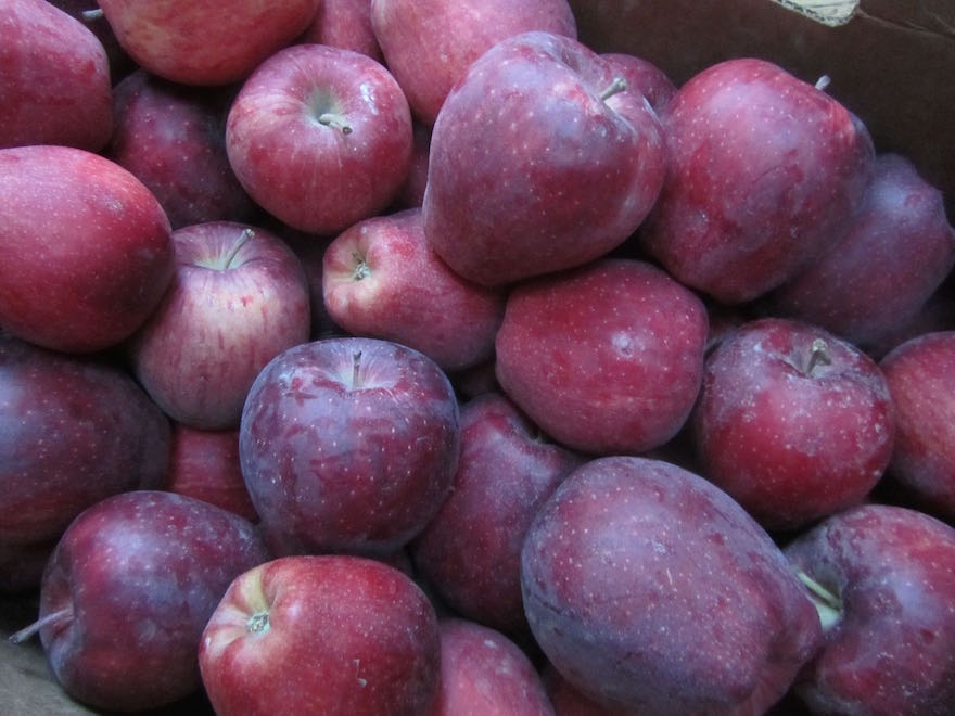 creative savv Update on Frozen Apple Juice Concentrate Made in the USA