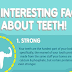 10 Interesting Facts About Teeth #infographic