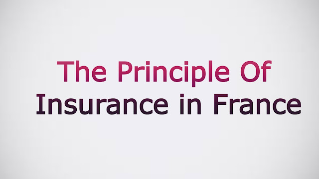 The principle of insurance in France