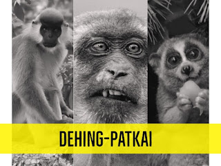 9 Reasons why You should save Dehing-Patkai, The Amazon of The East