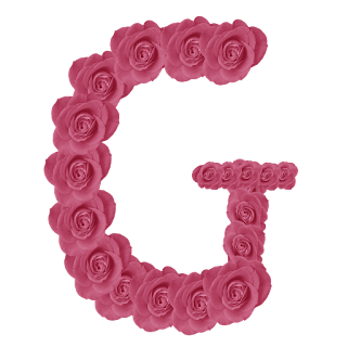 Abecedario hecho con Rosas Rosadas. Pink Roses Alphabet.