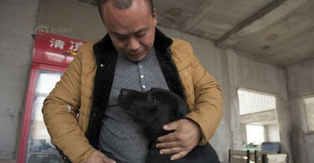 Milionário chinês gasta sua fortuna salvando milhares de cães da morte