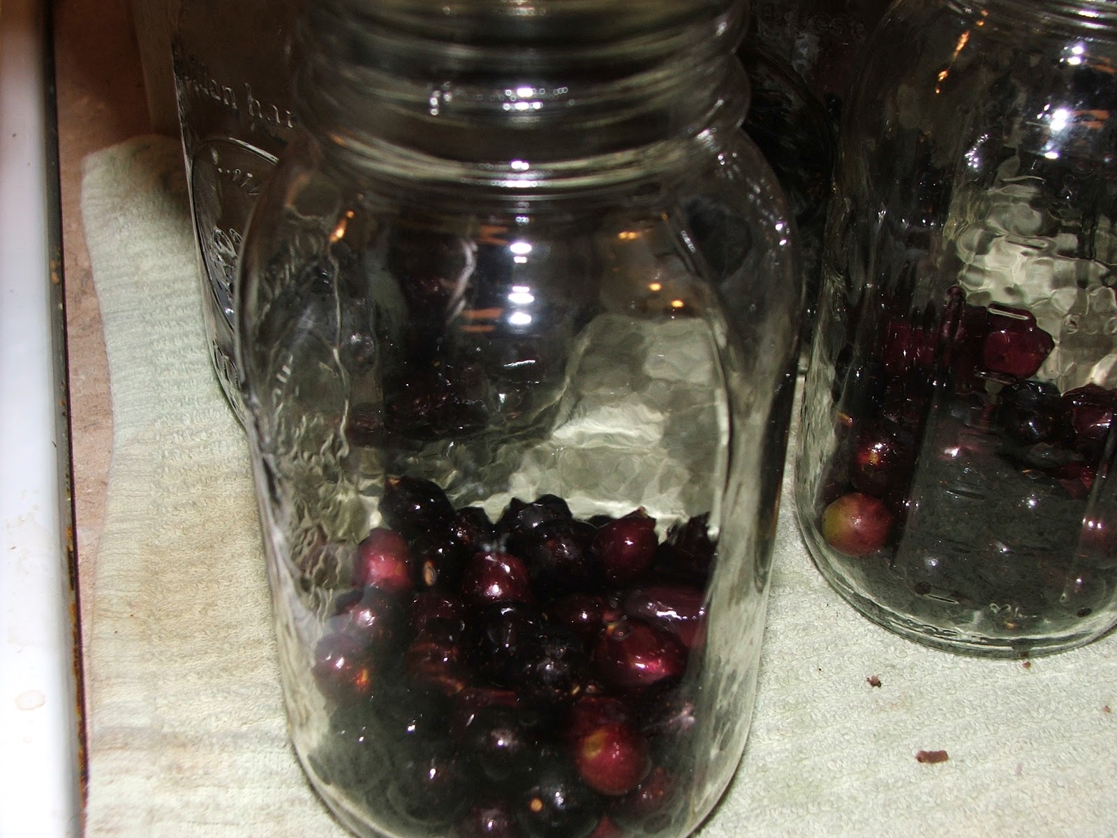 Canning Granny Canning Muscadine Juice (Mama's Easy Way)