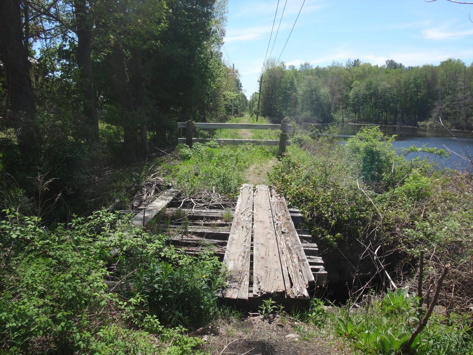 double d mountain runner Weekend Ride on the Groveland, and