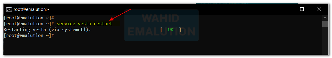 Restart Service vestacp