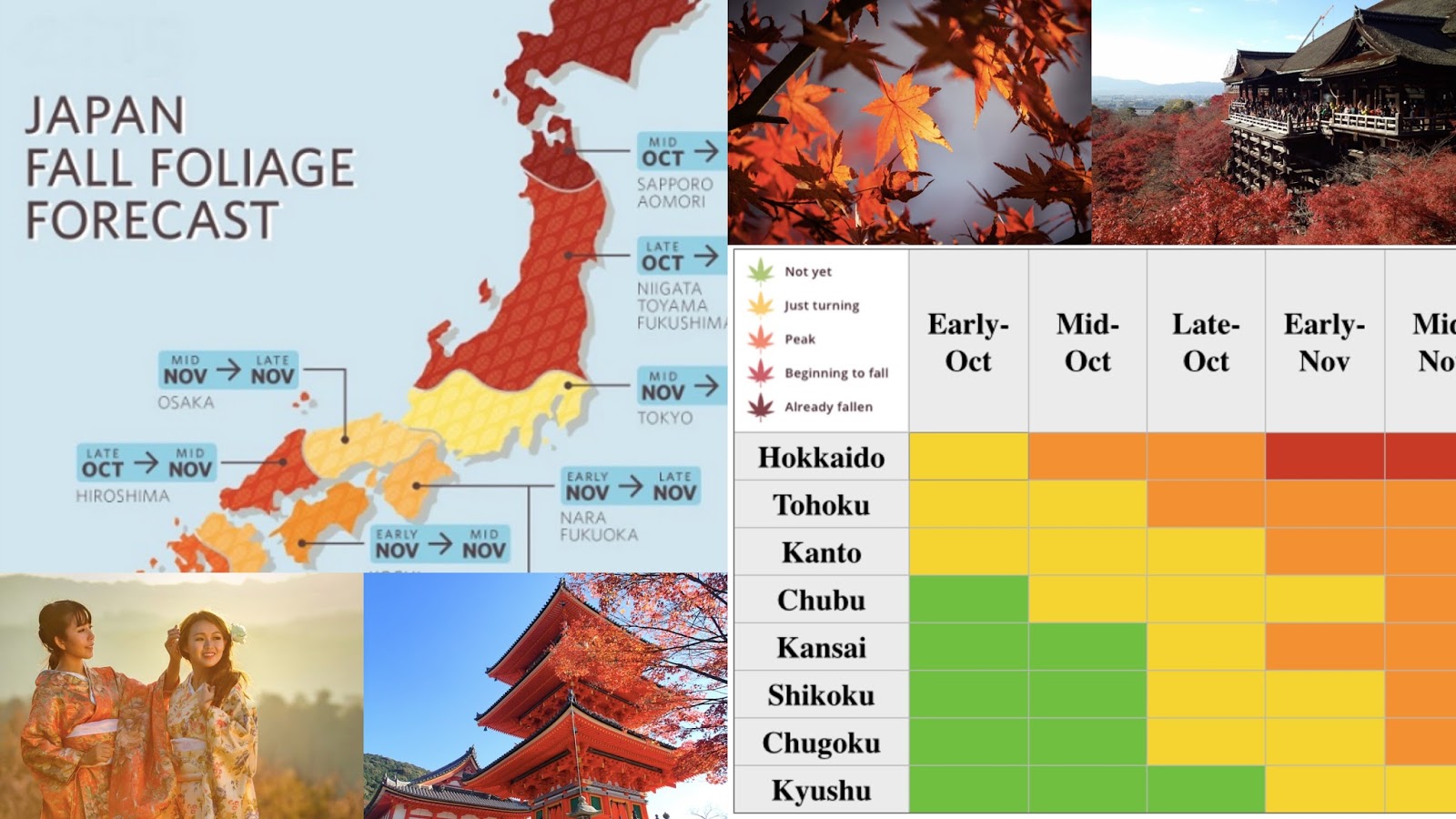 Miss HappyFeet Japan Autumn Forecast 2017 And How To Enjoy It miss-happyfeet-japan-autumn-forecast-2017-and-how-to-enjoy-it