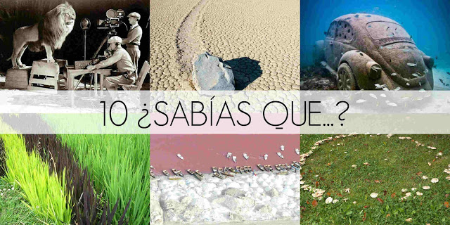 Sabias-que-1