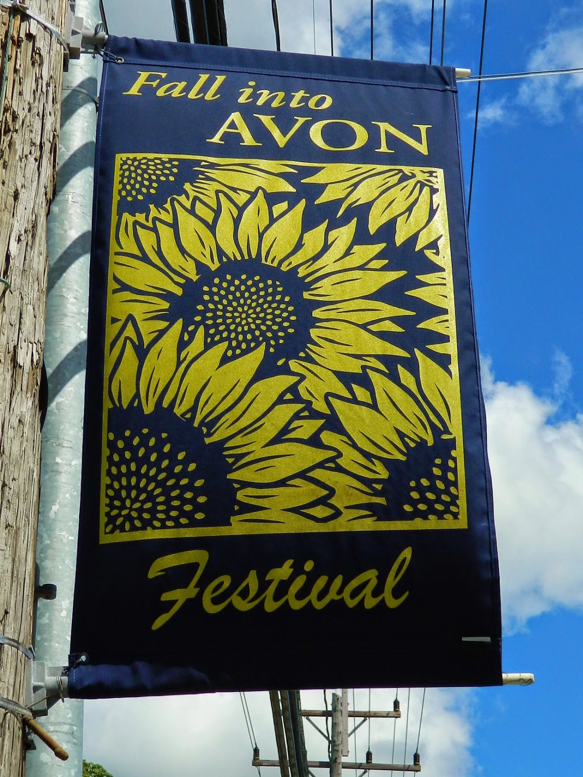 Fall into Avon Fall Festival Avon, Ohio