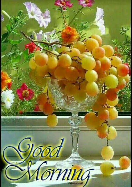 Good morning quotes about flowers