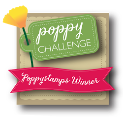 Poppystamps Challenge