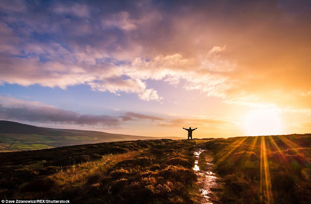 32EC5B0C00000578-3528038-image-a-43_1460