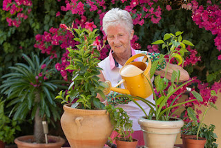 Health benefits of gardening