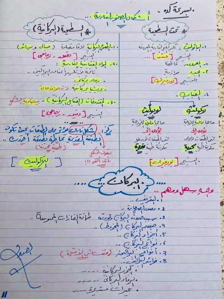 مراجعة جيولوجيا الثانوية العامة - الصخور النارية  11