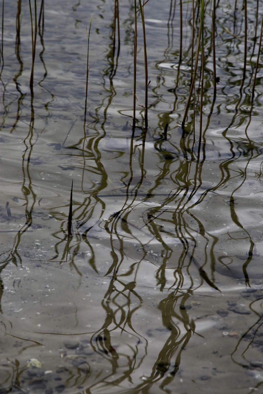 Mecklenburgische Seenplatte Karls Erdbeer Horror Pestarzt
