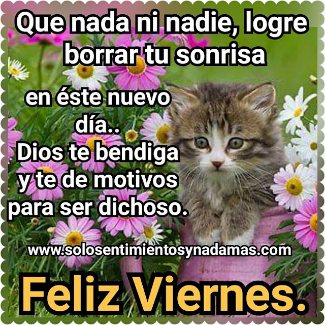 Feliz viernes