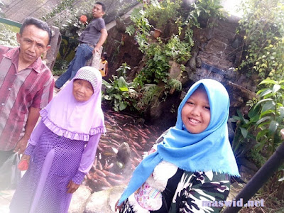 Liburan Ahir Tahun 2018 Hanya Jalan-Jalan di Masjid Kubah Emas dan ke TMII Museum Ikan
