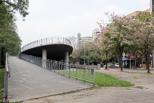 台中南區|興大綠園道|綠川河畔風鈴木|台中最長洋紅風鈴木步道|江川公園 台中南區|興大綠園道|綠川河畔風鈴木|台中最長洋紅風鈴木步道|江川公園