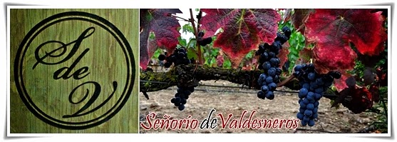 Bodegas-Señorío-de-Valdesneros