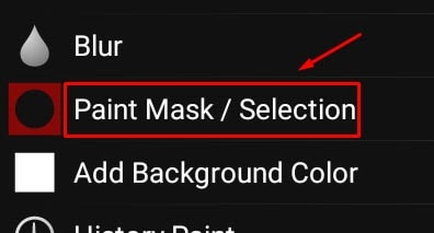 Paint Mask / Selection Tool Paint Mask / Sel