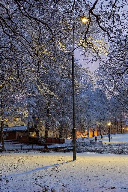 Snowy park in Torshov Oslo Norway