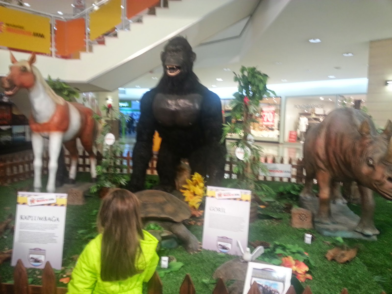 Anne olmak güzeldir. Hayvanat Bahçesi Sergisi