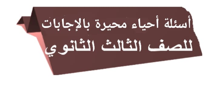 هرمون بروتيني صغير تنتجة بعض خلايا البنكرياس.. الكولاجين. الأنسولين. الهيموجلوبين. الكيراتين.