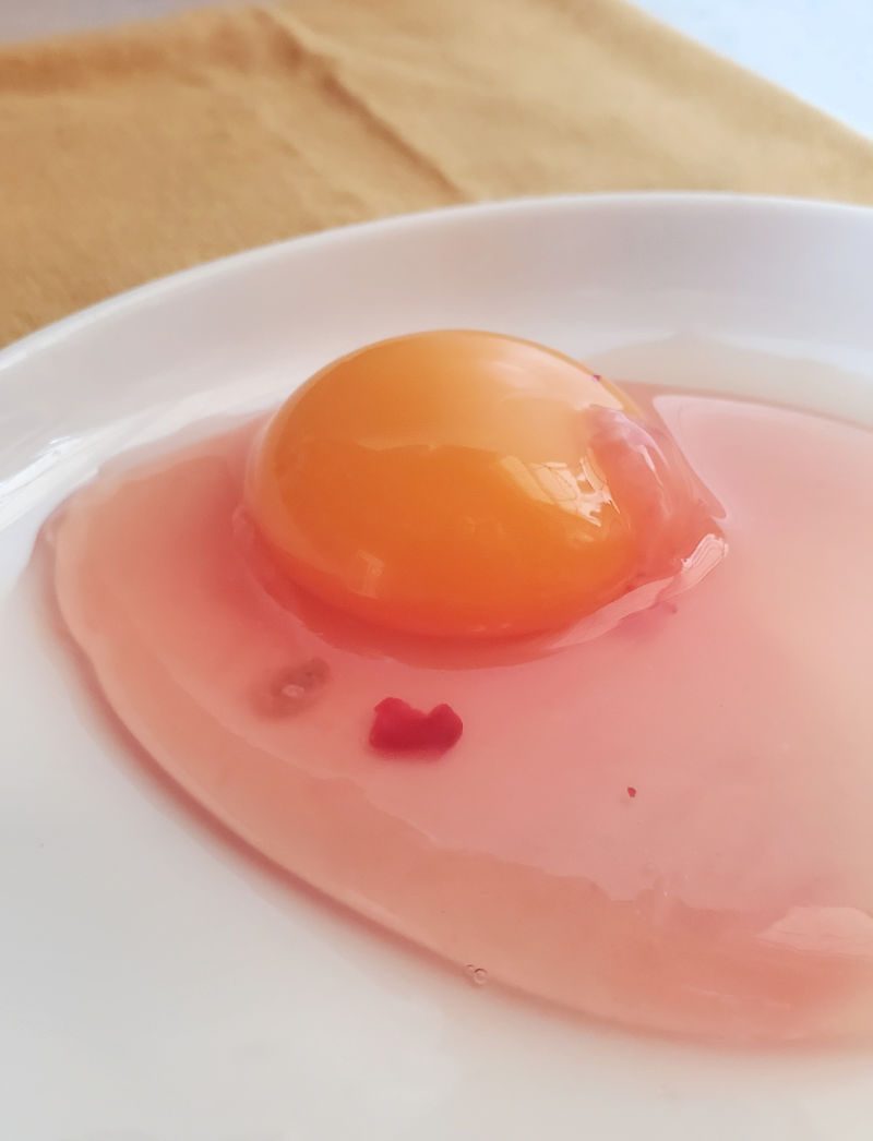 Beregn lav lektier etnisk Why are There Blood Spots in Fresh Eggs? - Fresh Eggs Daily® with Lisa  Steele
