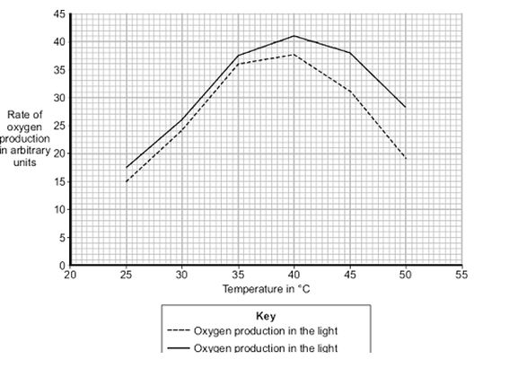 GCSE Biology Worksheets: Photosynthesis Worksheet
