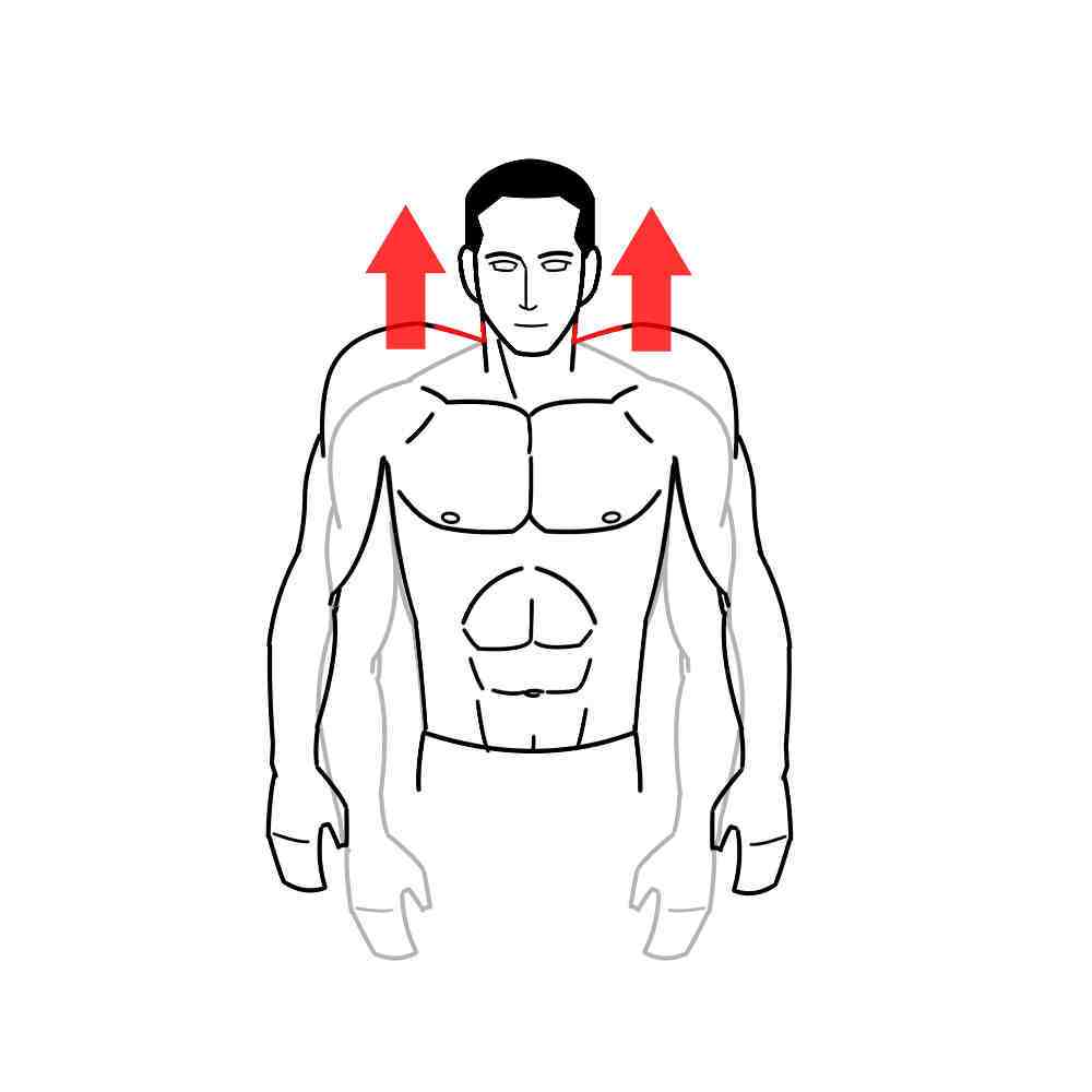 Physical Therapy Exercises for Shoulder Stingers PTHelper