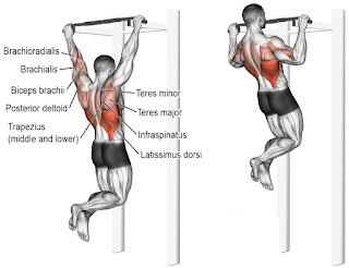 Top 5 Exercises To Build Wide Muscular Back, Wide-Grip Pull-Up Top 5 Exercises To Build Wide-Grip Pull-Up