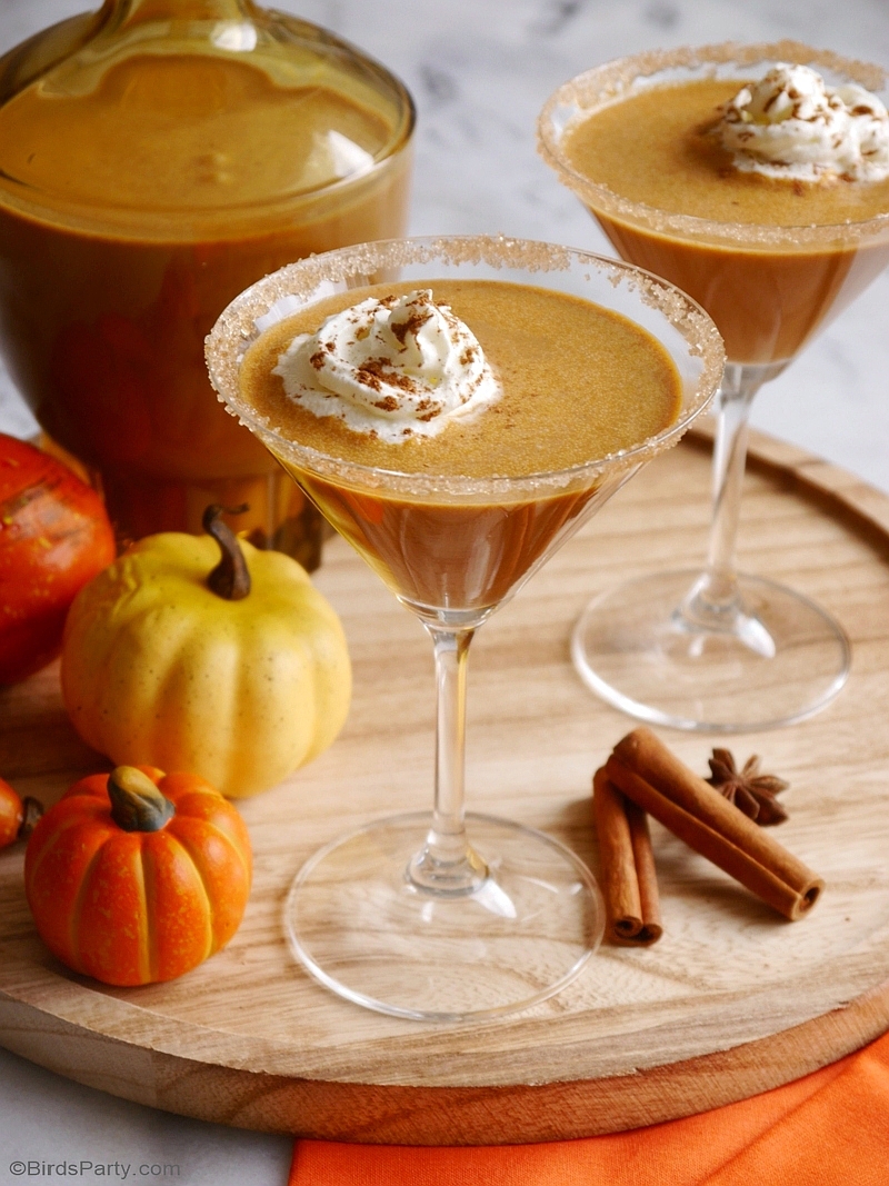 Homemade Pumpkin Spice Irish Cream Cocktail - inexpensive, quick and easy to make, this drinks recipe makes for the perfect Fall beverage! by BirdsParty.com @birdsparty #homemadebaileys #cocktail #pumpkinspice #pumpkinspicelattecocktail #falldrinks #fallbeverages #fallcocktails #pumpkinspicecocktail #irishcream #pumpkinbaileys