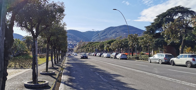 Album De Fotos De Viajes