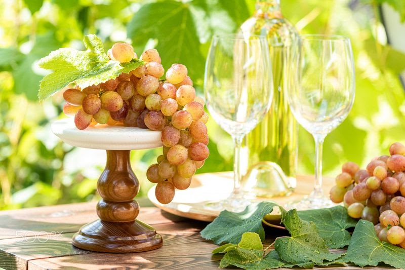 Cum se face mustul de struguri și cum se obține vinul alb? | ScriDoc
