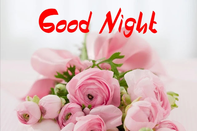 Good Night HD Images Good Night HD Images