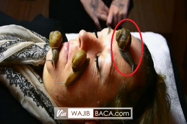 Kulitmu akan Tetap Terawat Tanpa Pergi ke Salon, Cukup Lakukan Terapi Ini Saja Kulitmu akan Tetap Terawat Tanpa Pergi ke Salon, Cukup Lakukan Terapi Ini Saja
