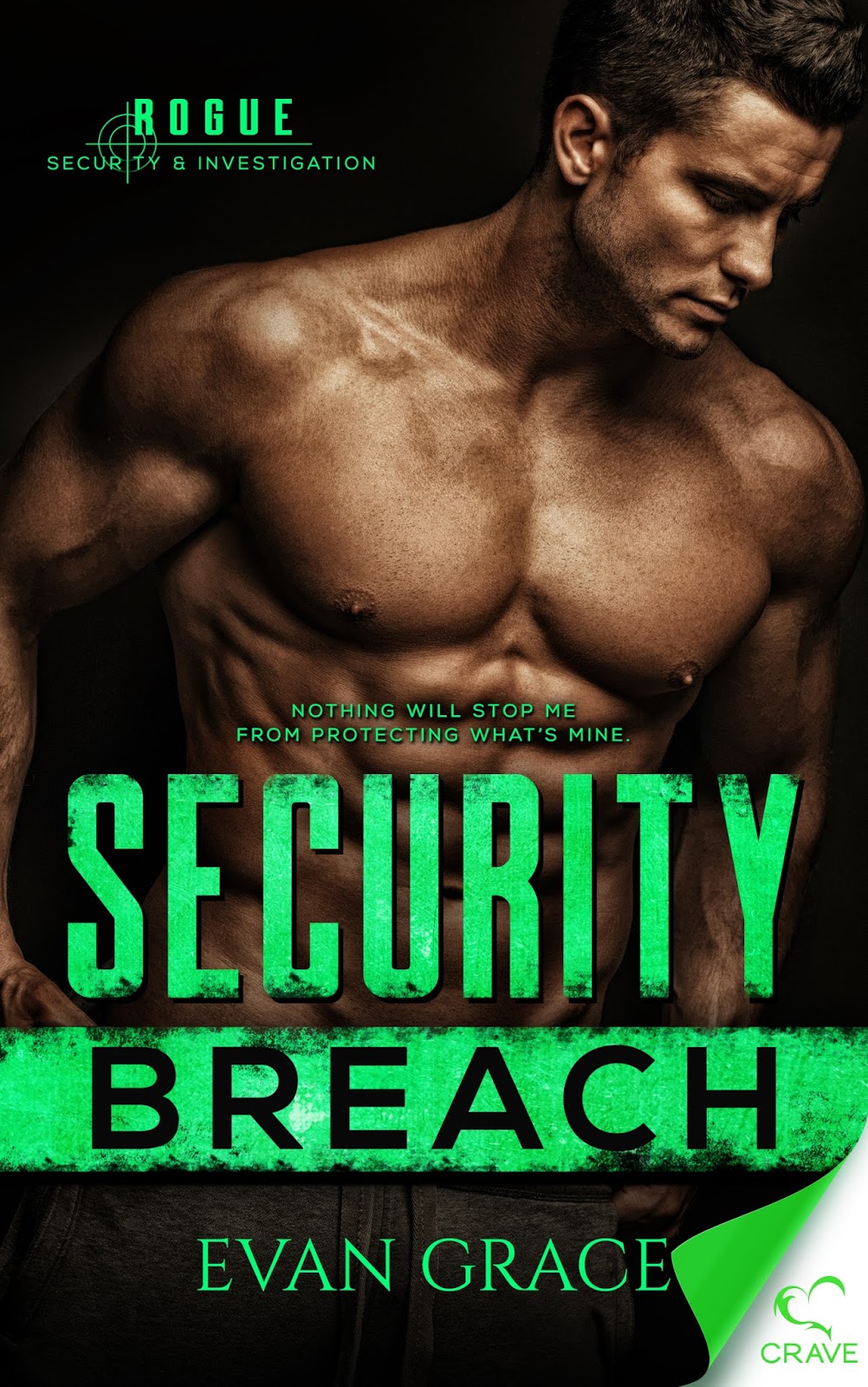 security breach security breach